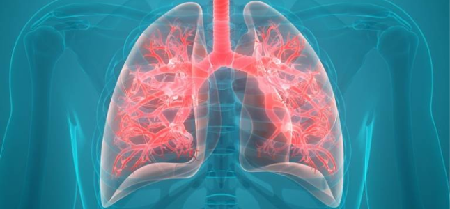 COVID-19 Detection Model